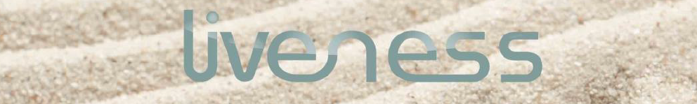 TOORX LIVENESS PILATES  