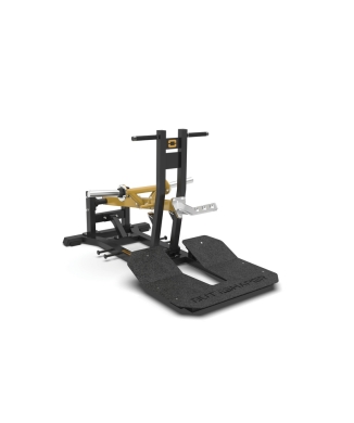 Belt Squat FWX-10200
