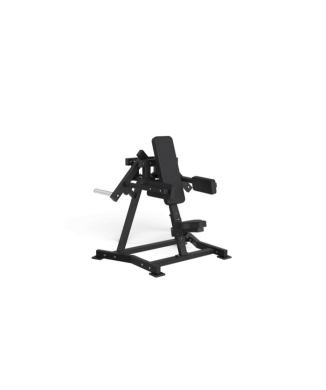 FWX-6500 Lateral Raise 