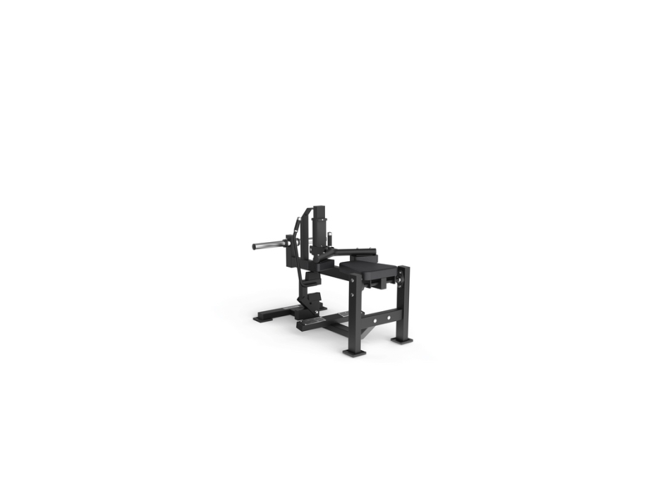 FWX-7800 Seated Calf 