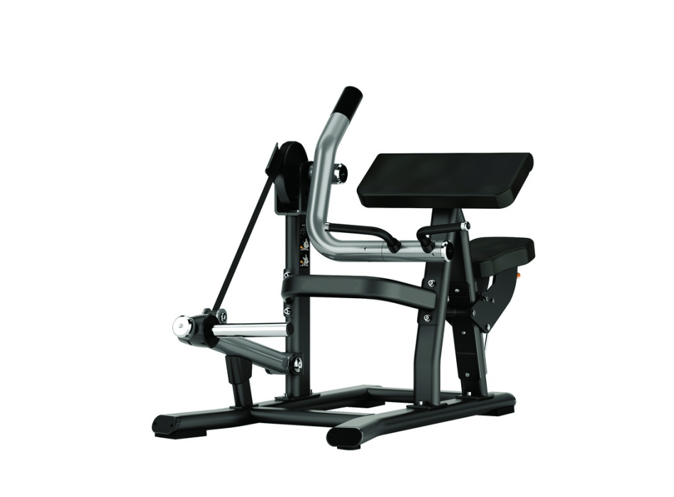 FWX-8600 Biceps Curl 