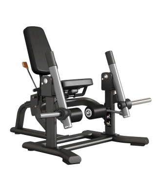 FWX-9400 Leg Extension 