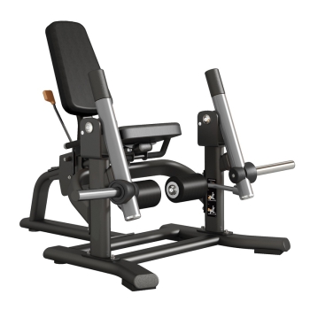 FWX-9400 Leg Extension 