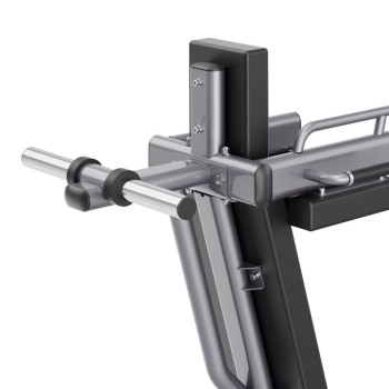 FWX 9000 Pendulum Squat