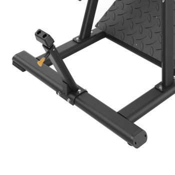 FWX 9000 Pendulum Squat