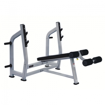 Panca declinata olympic WBX 3600