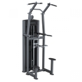 PLX-6350 Assisted Pull Up/Chin Up/ Dip