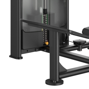 PLX-9000 Hip thrust