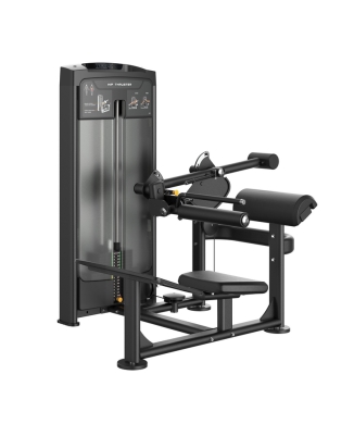 PLX-9000 Hip thrust