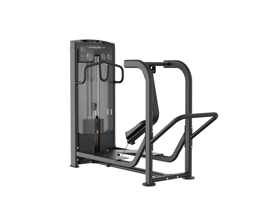 PLX-9090 Standing Rear Kick