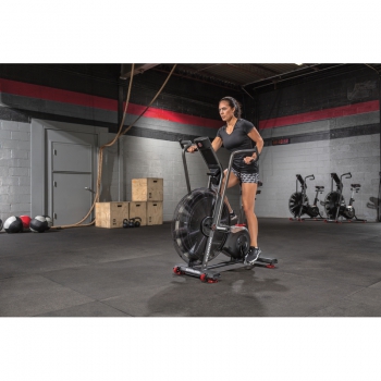 SCHWINN- AIR DYNE AD8