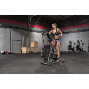 SCHWINN- AIR DYNE AD8