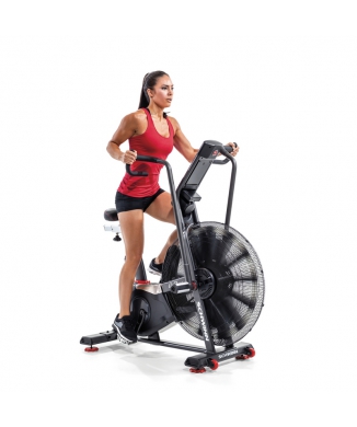 SCHWINN- AIR DYNE AD8