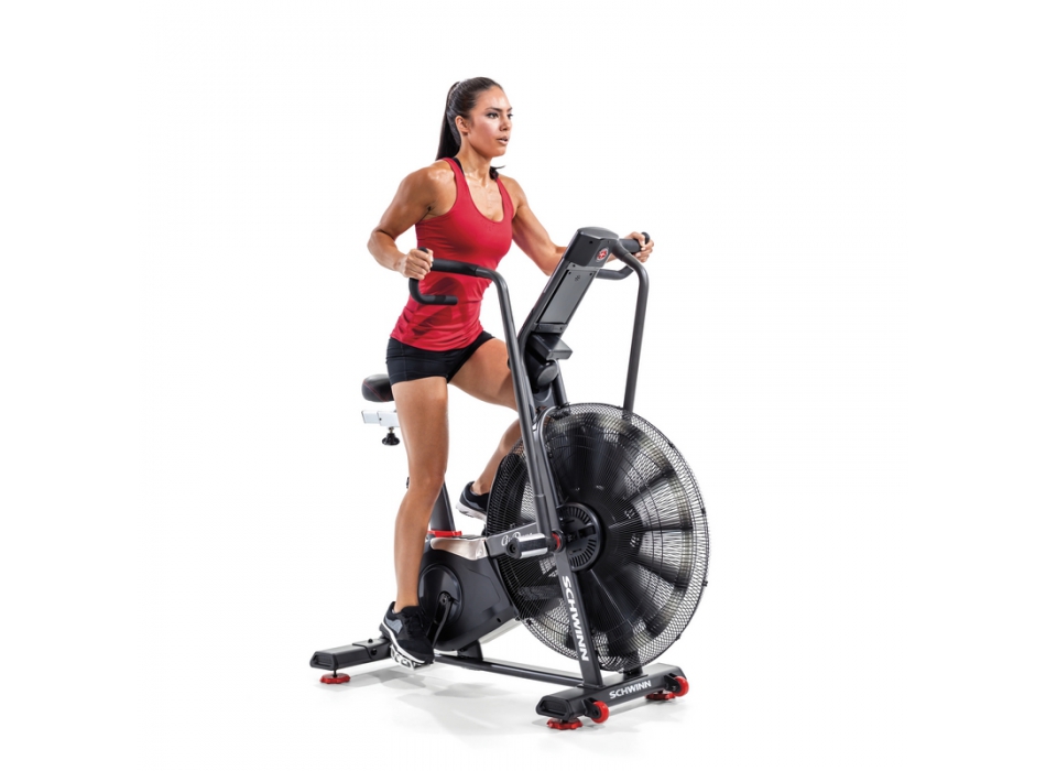 SCHWINN- AIR DYNE AD8