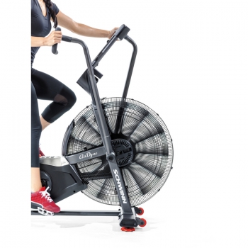 SCHWINN- AIR DYNE AD8