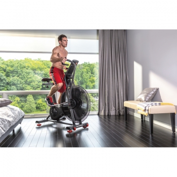 SCHWINN- AIR DYNE AD8