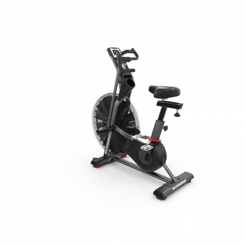 SCHWINN- AIR DYNE AD8