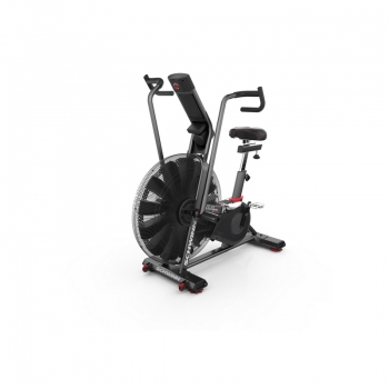 SCHWINN- AIR DYNE AD8