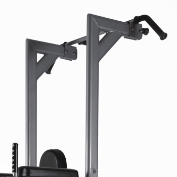 Struttura chin/dip/leg raise WBX 2800