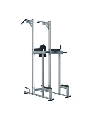 Struttura chin/dip/leg raise WBX 2800