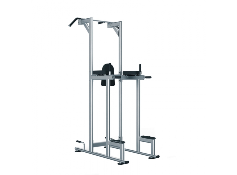 Struttura chin/dip/leg raise WBX 2800
